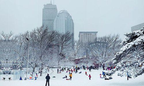 10+ Best Sledding Hills in Boston thumbnail