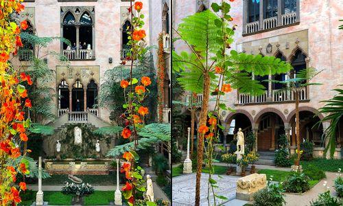 Hanging Nasturtiums at the Isabella Stewart Gardner thumbnail
