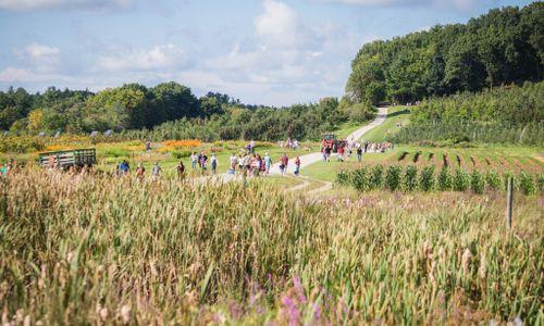 17 Farms Near Boston to Visit This Summer thumbnail