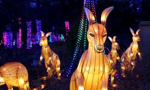 ZooLights at Stone Zoo thumbnail