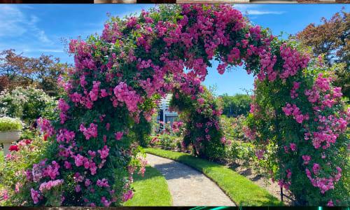 30 of the Best Hidden and Secret Places in Boston thumbnail