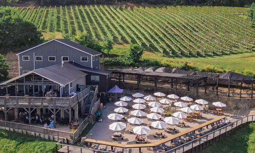 Bluemont Vineyard | DC Wine Country & Tasting Experiences thumbnail