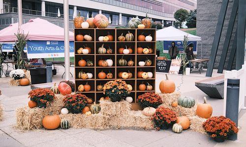 Boston Landing Fall Crawl thumbnail