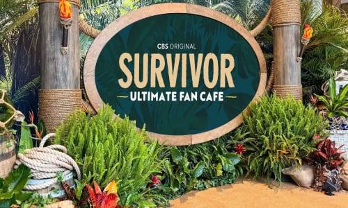Survivor Cafe | Boston thumbnail