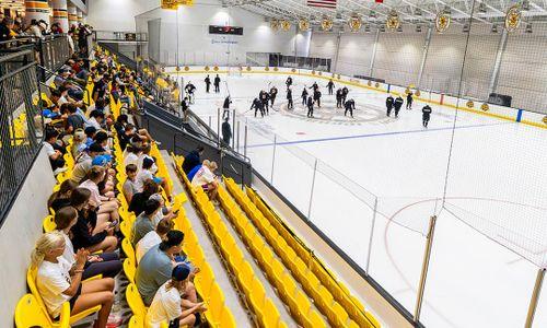 Boston Bruins Practices | Free Public Viewing Sessions at Warrior Ice Arena thumbnail