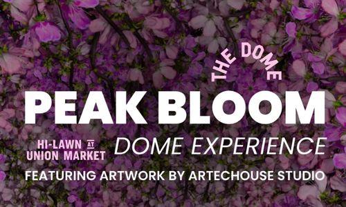 PEAK BLOOM: DOME EXPERIENCE - Hi-Lawn x ARTECHOUSE thumbnail