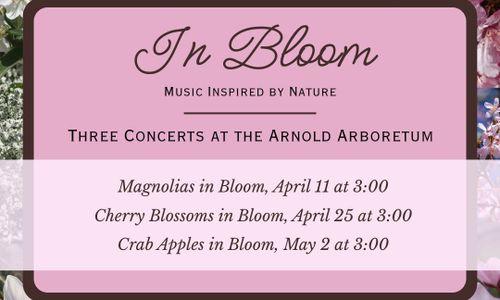 Magnolias in Bloom: Music Inspired by Nature thumbnail