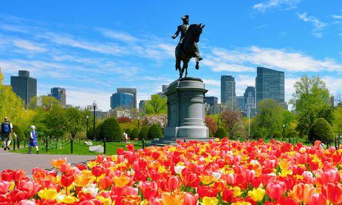 90 things to do in Boston this weekend thumbnail