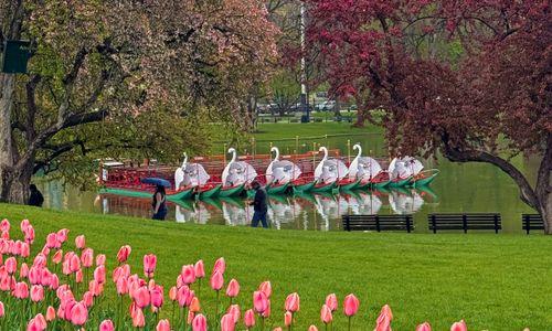 117 things to do in Boston for $10 or less: May 2026 thumbnail