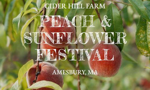 Peach & Sunflower Festival - August 8-9 & 15-16 thumbnail